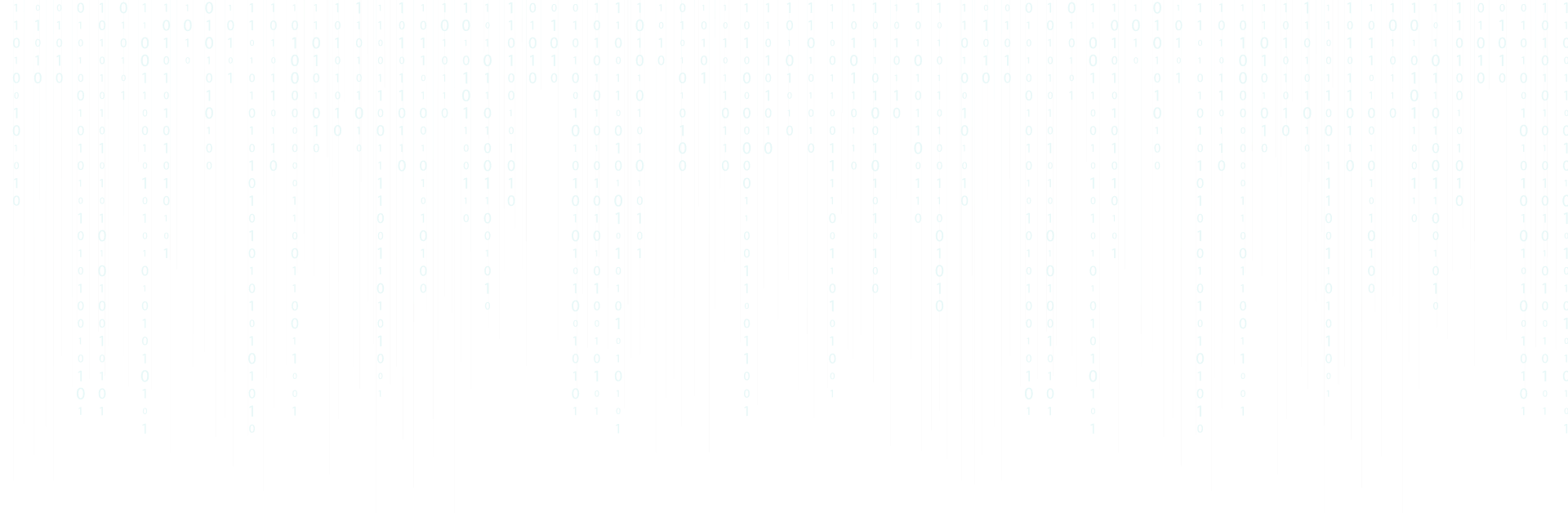 Senior Full Stack{Web & App} developer
